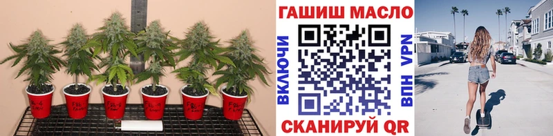 Дистиллят ТГК THC oil  Советская Гавань 